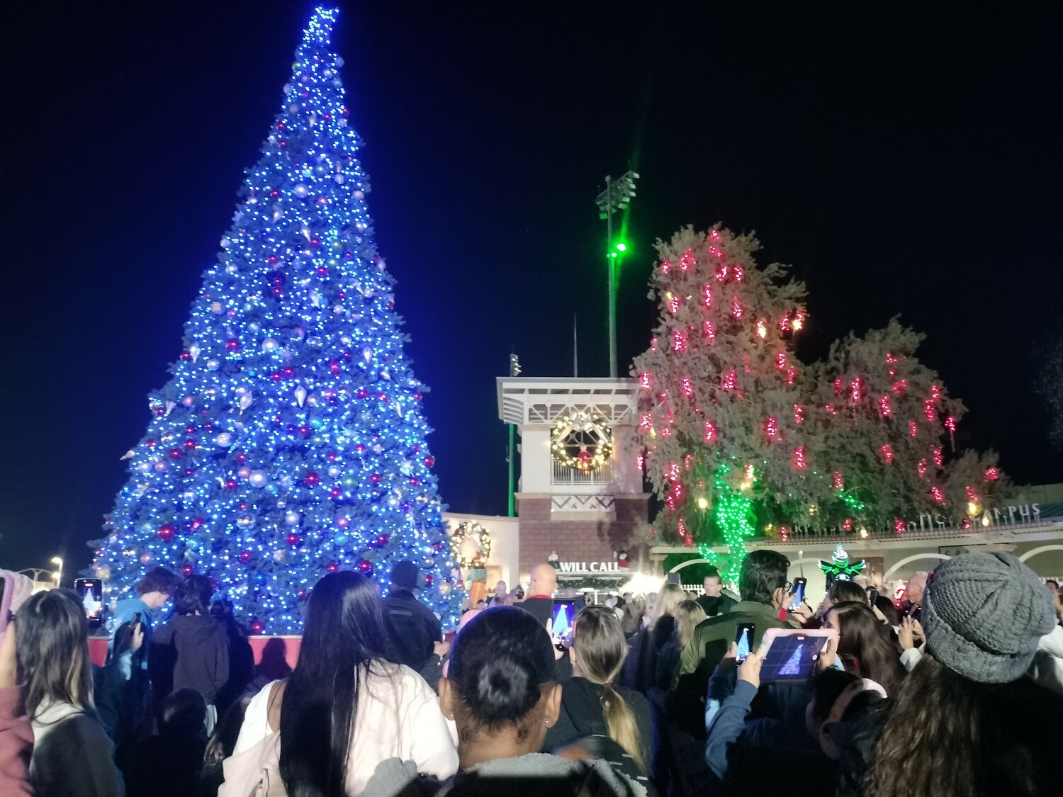 Surprise lights up for holiday season - Surprise Independent