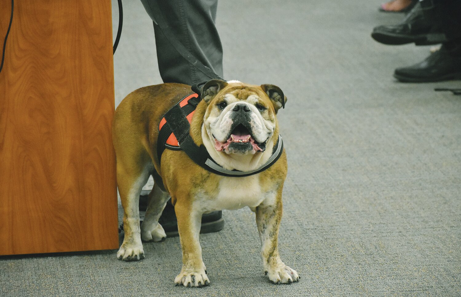 Admins praise students, faculty, dog as ‘Falcons of Month’